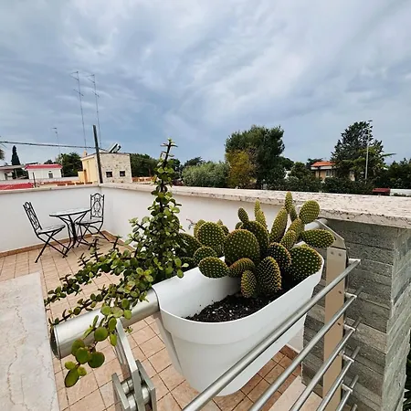 Dei Cedri Garden 别墅