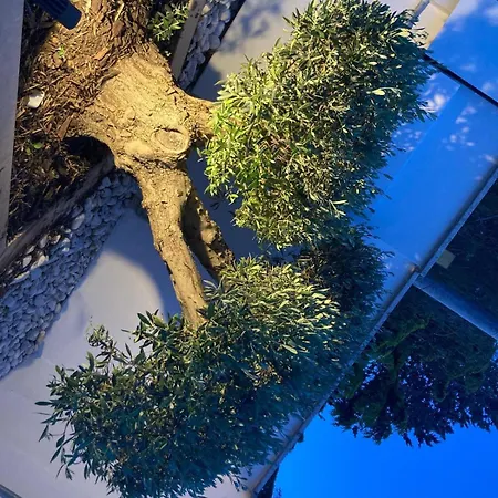 Dei Cedri Garden 别墅